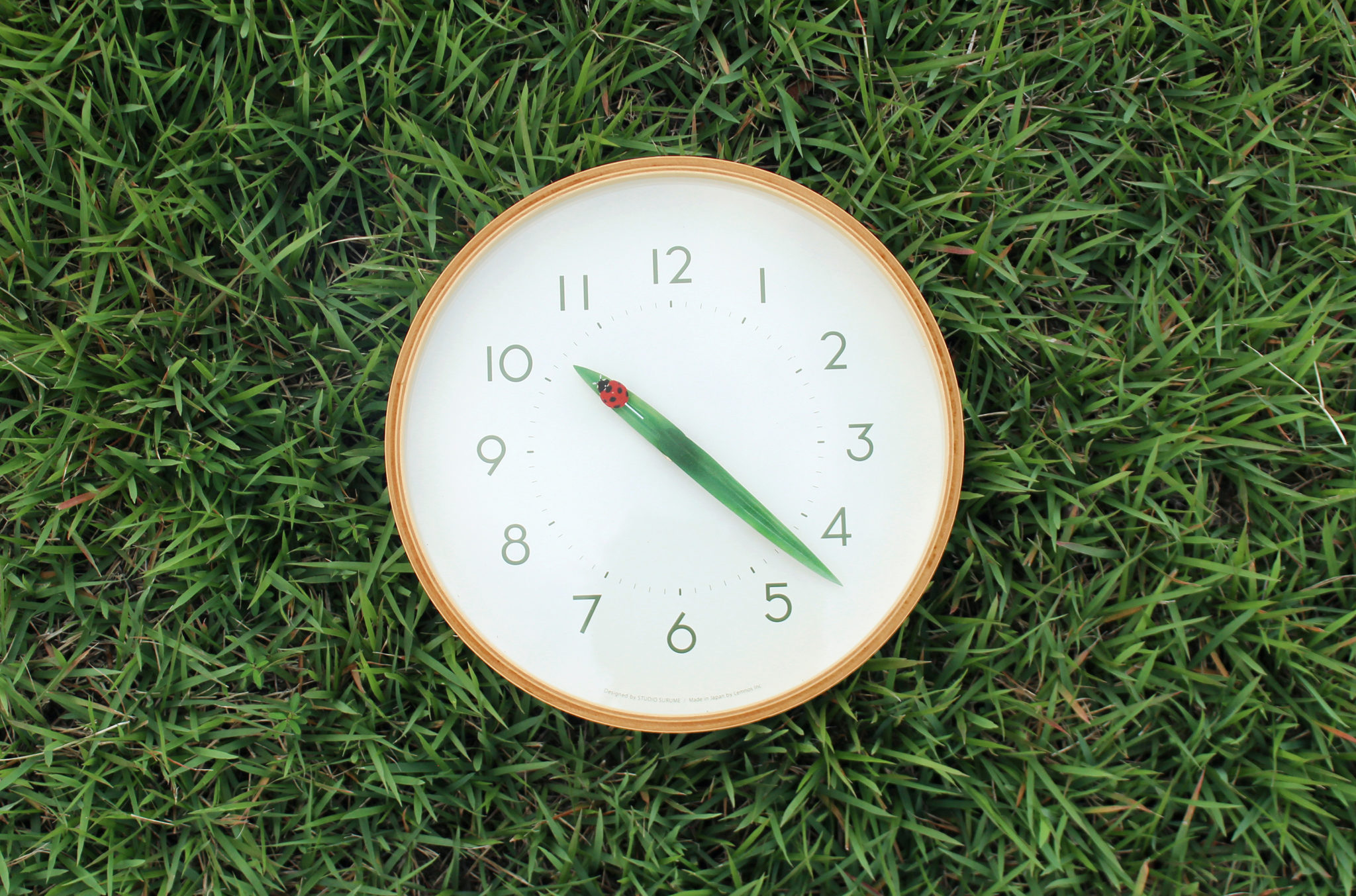 Lemnos Perch Clock Release